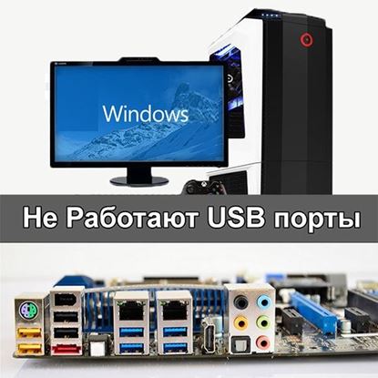 После установки Windows не работают usb порты	